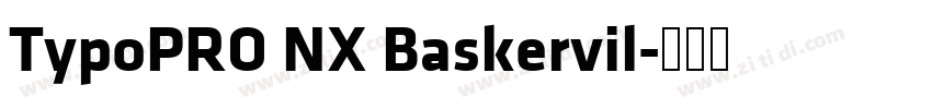 TypoPRO NX Baskervil字体转换 TypoPRO NX Baskervil字体转换